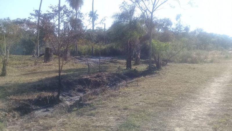 Lote EN venta, foto 4