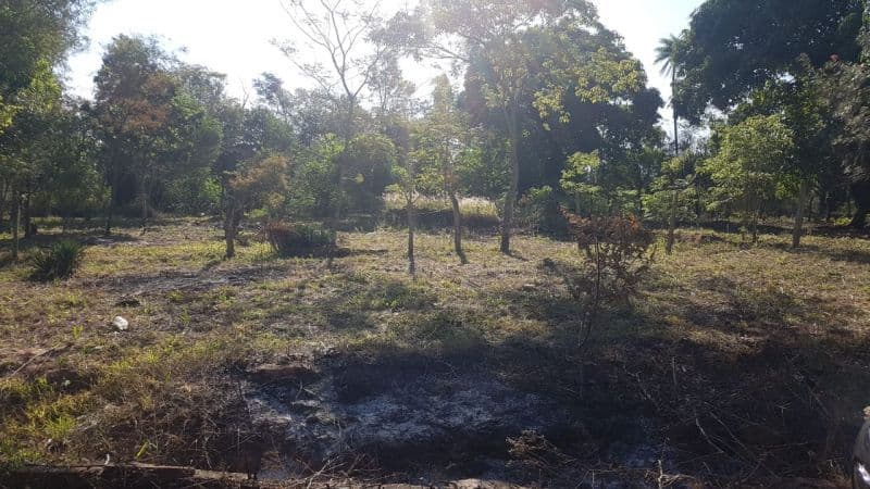 Lote EN venta, foto 2