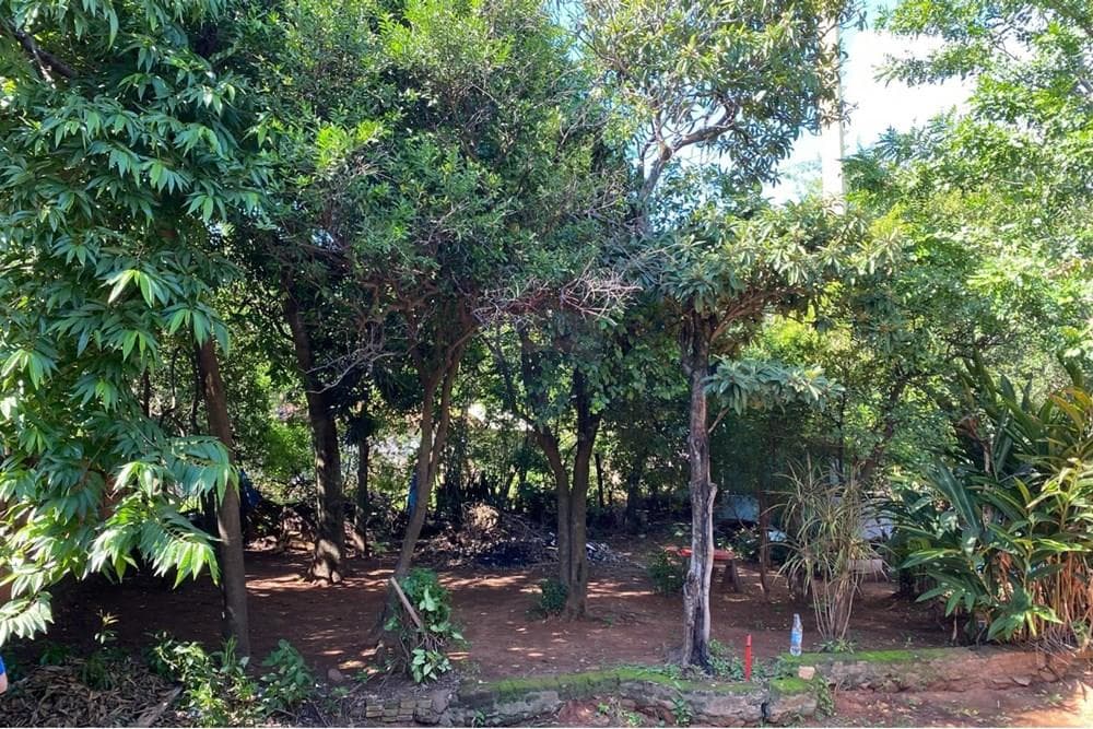 Terreno - Venta - Paraguay Central San Lorenzo, foto 3