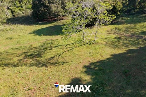 Terreno-Venta-Pindolo Areguá, Pindolo, Aregua, Central, foto 5