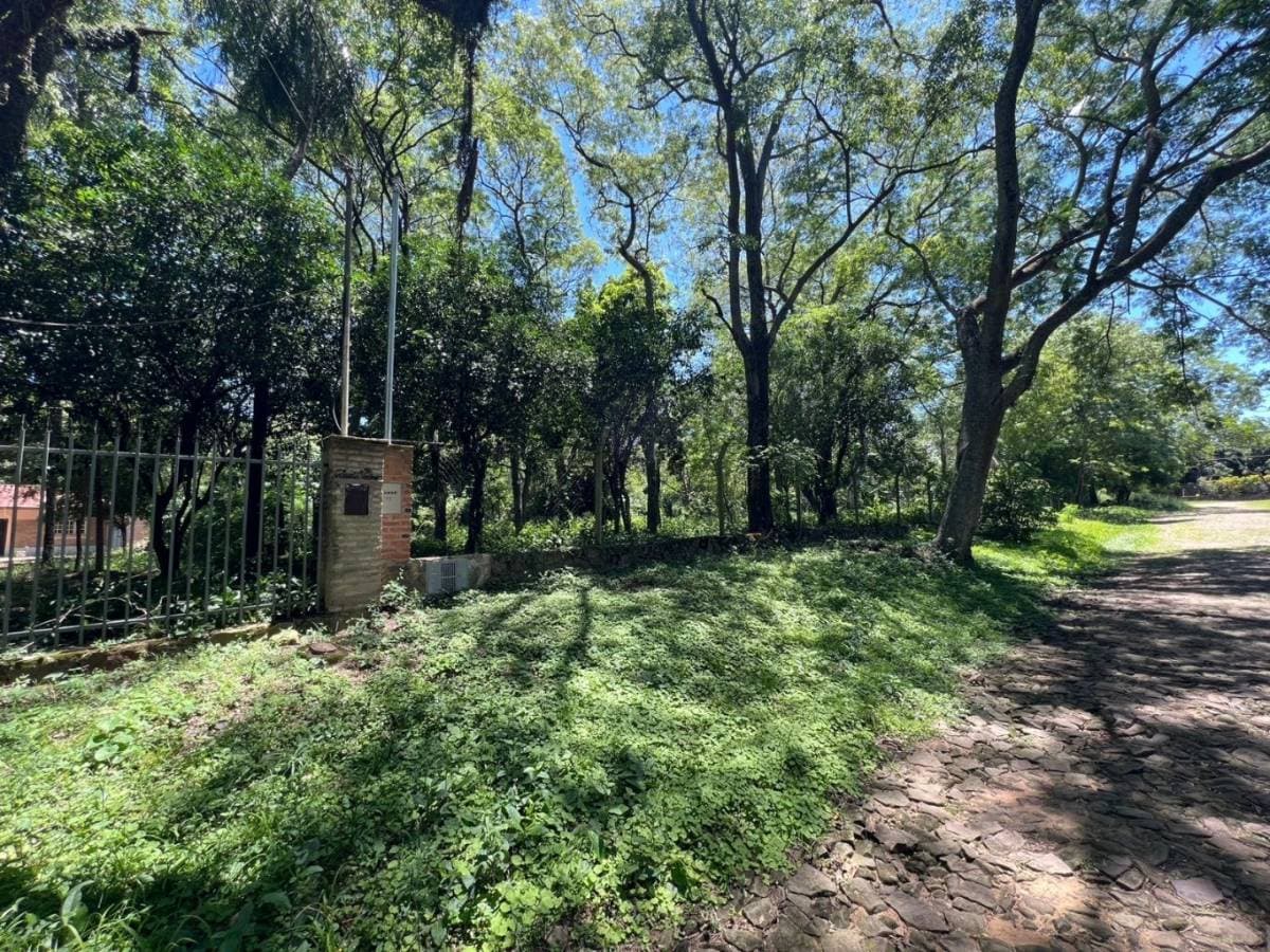 Terreno en San Bernardino, foto 3