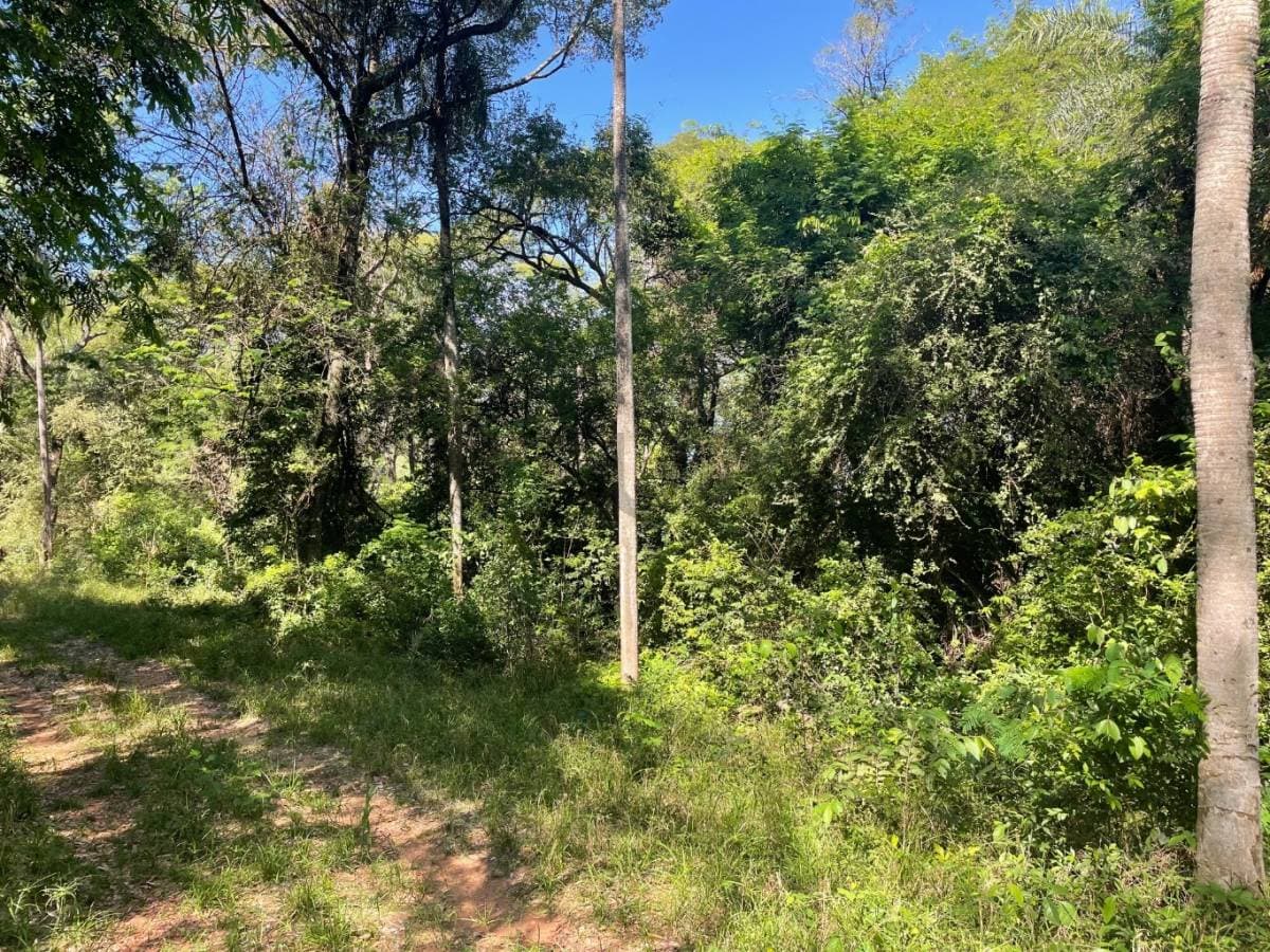 Se vende terreno de 850 m2 en San Bernardino, la gruta, foto 2