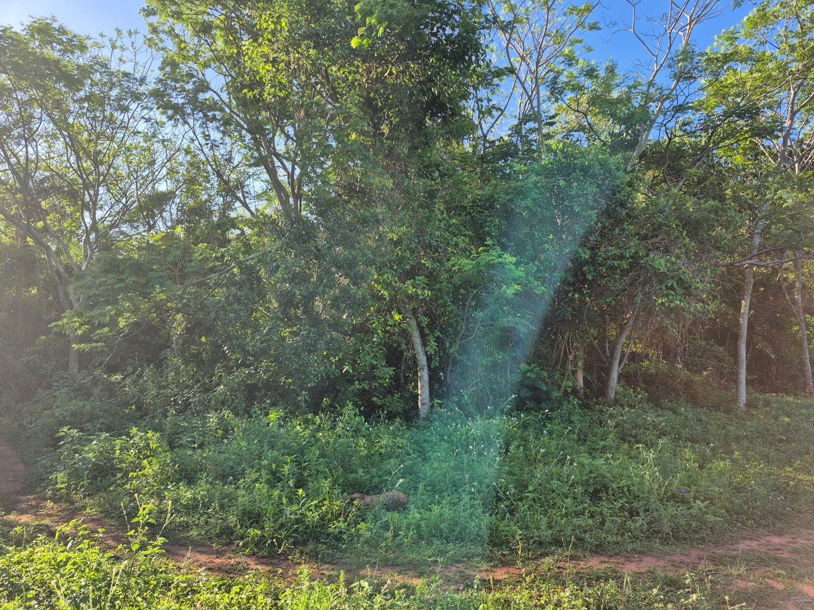 - Terreno en Itauguá, foto 1