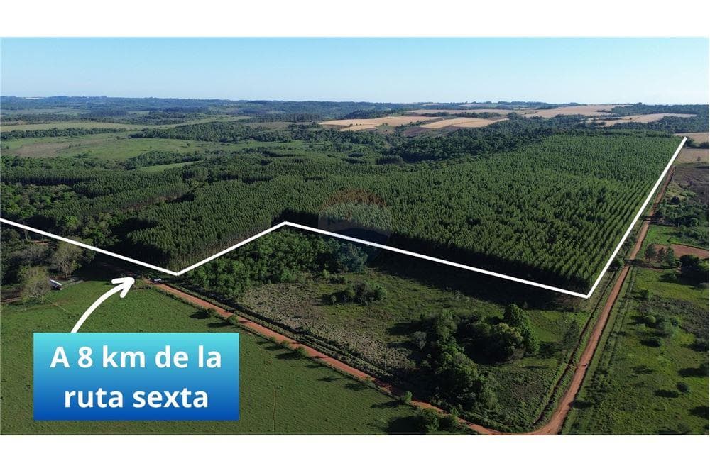 72 hectareas ideal agroforestal en Trinidad itapua, foto 3