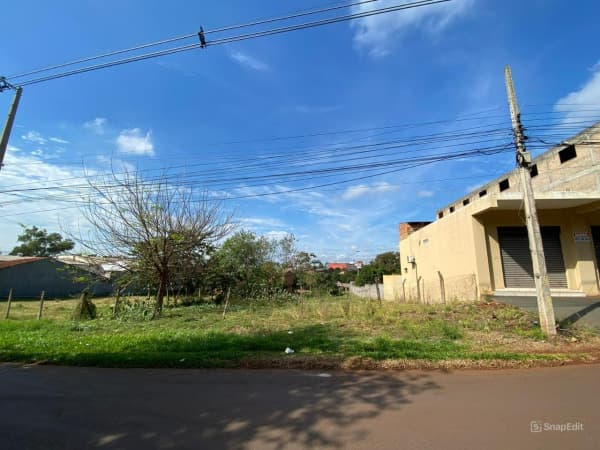 En venta amplio terreno pablo rojas Ciudad del Este, foto 5