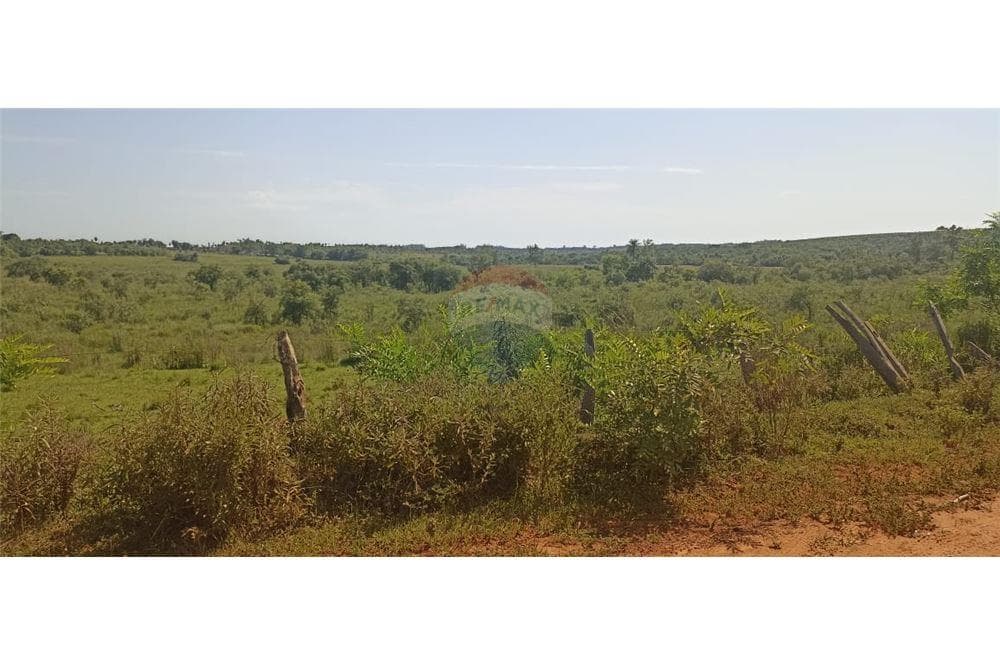 Terreno - Venta - Valenzuela, Paraguay, foto 2