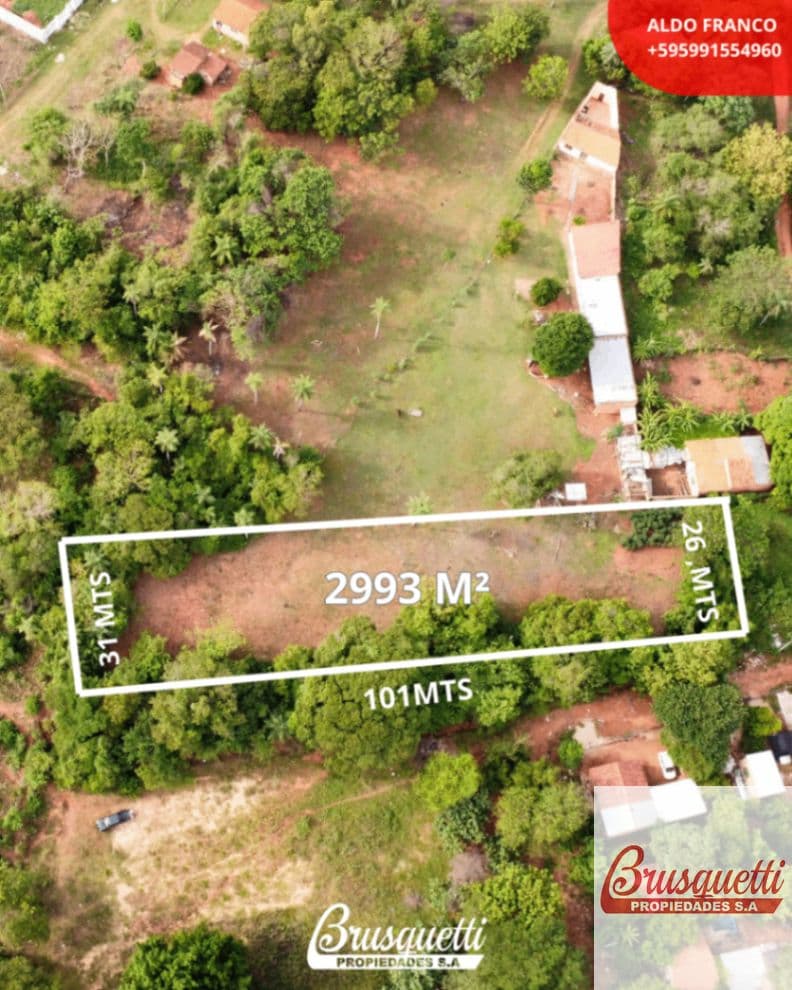 Terreno en venta de 2993m2 ubicado en Limpio, foto 2