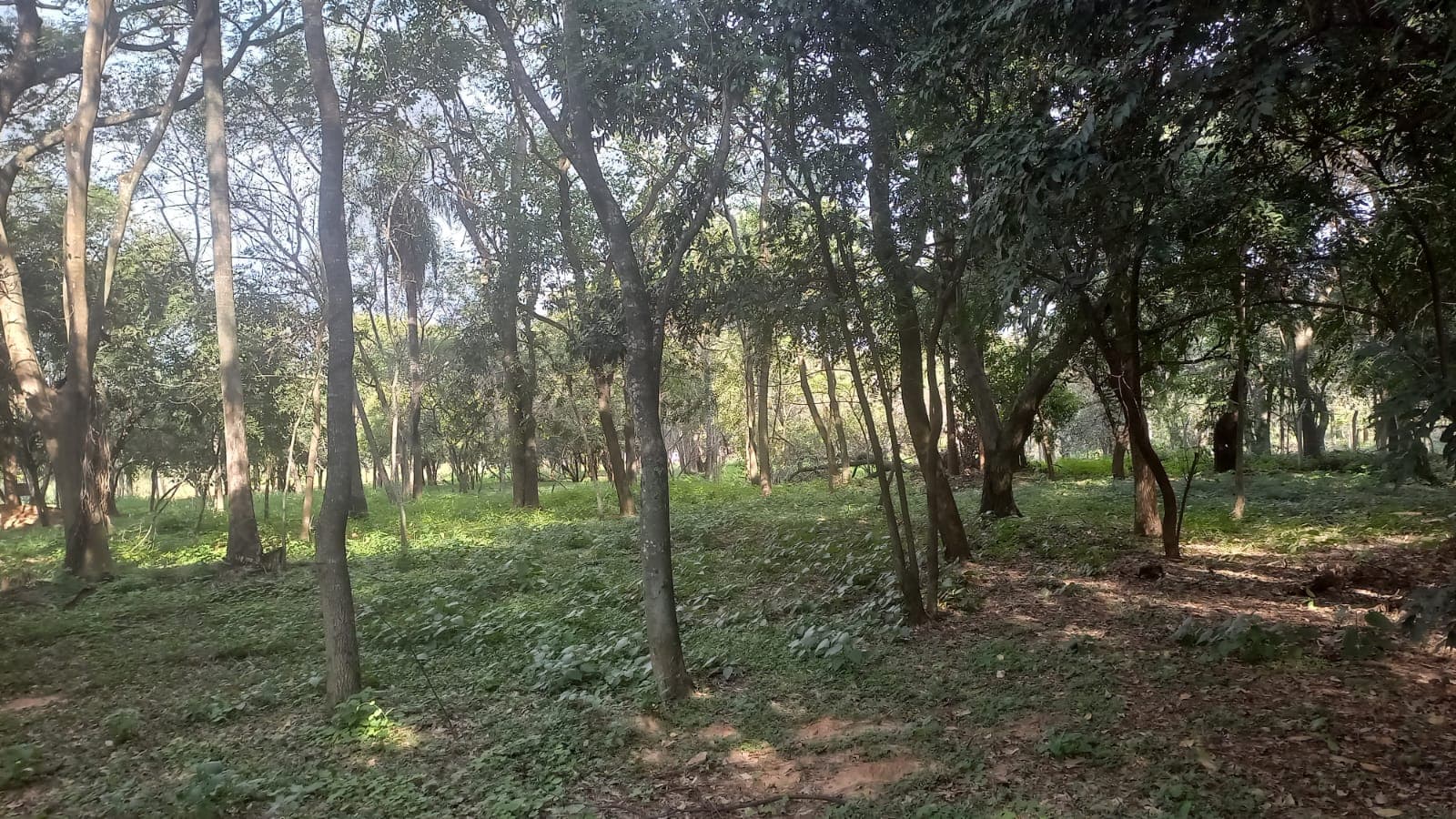 Terreno De 1191 M2 En Surubi´I Club De Campo Trato Directo Con Propietario — foto 2