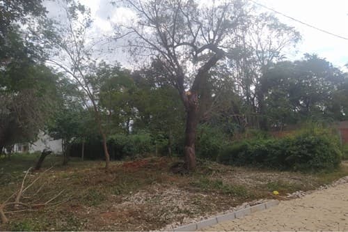 Terreno En Oferta En Loma Merlo, foto 5