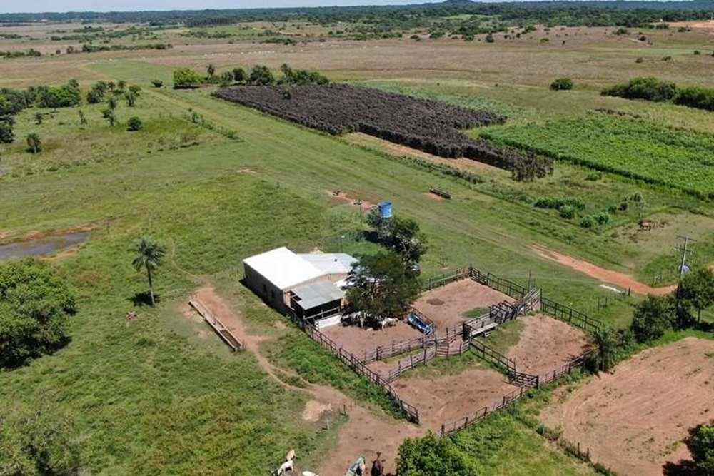 Establecimiento agroganadero