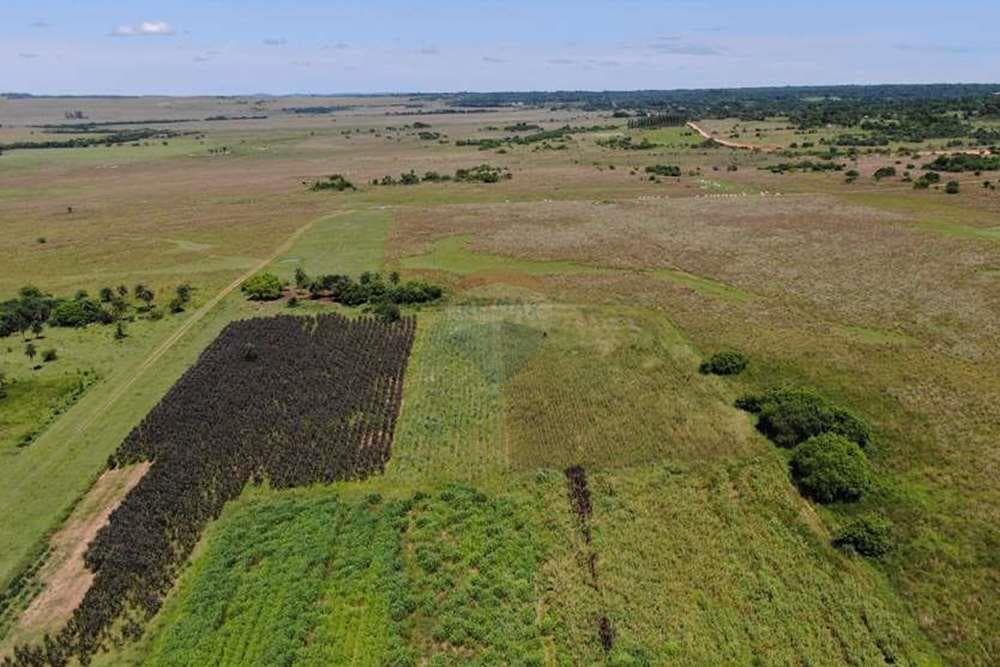 Estancia/Campo - Venta - Paraguay Paraguarí Quiindy, foto 3