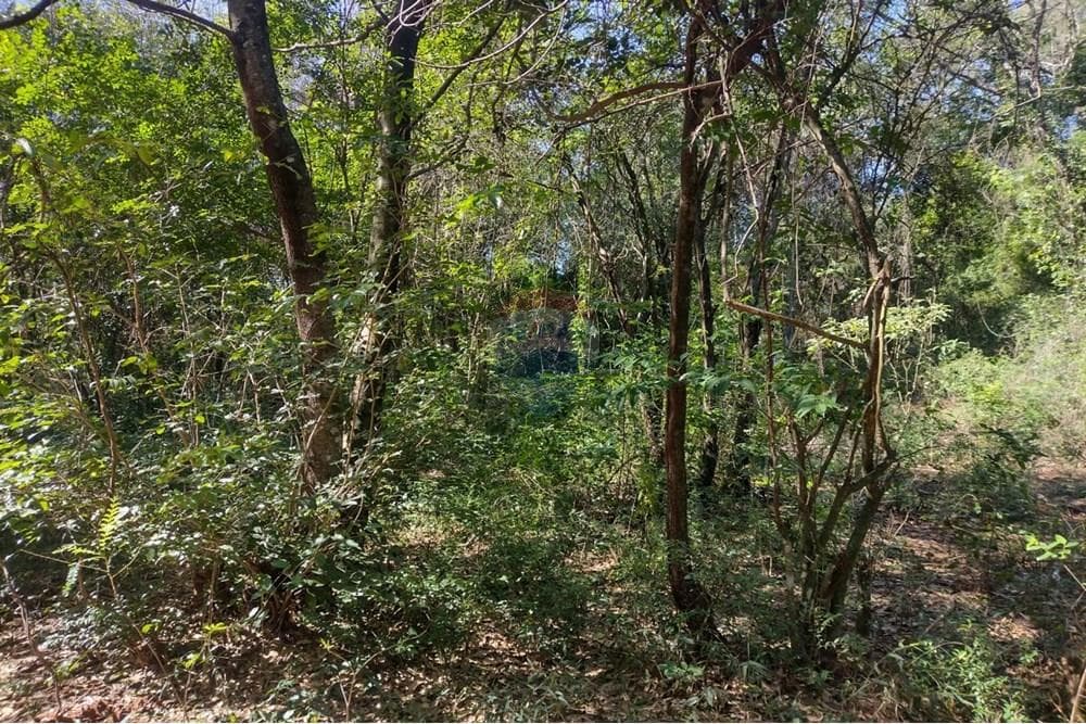 Terreno - Venta - Aregua, Paraguay, Proyecta, foto 2