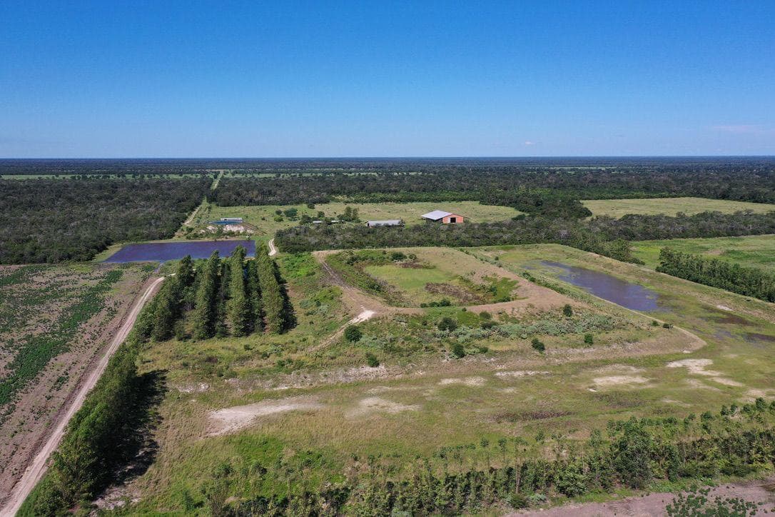 Estancia productiva en bahia negra chaco paraguayo, foto 5