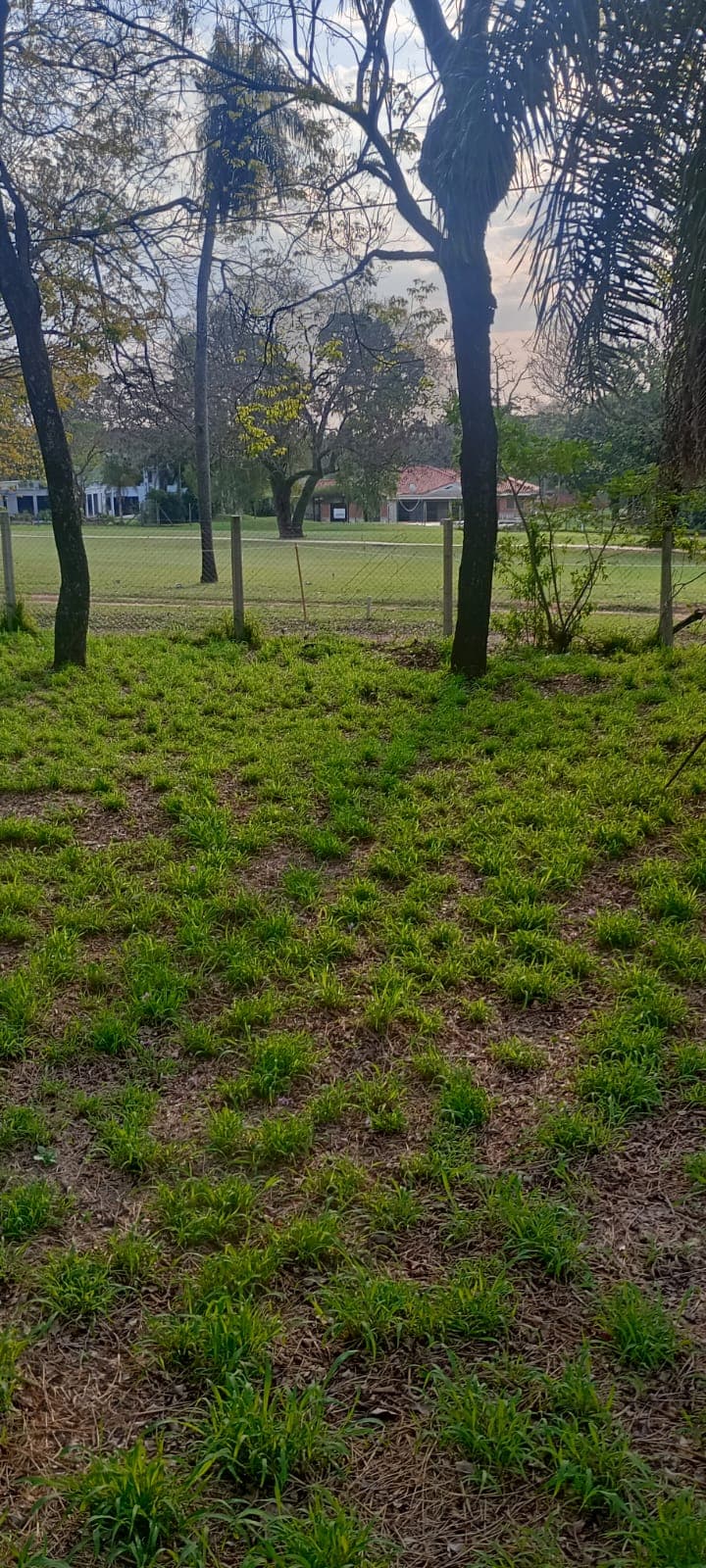 ¡venta de terreno con vista al campo de golf del yacht y golf club! ????✨, foto 4