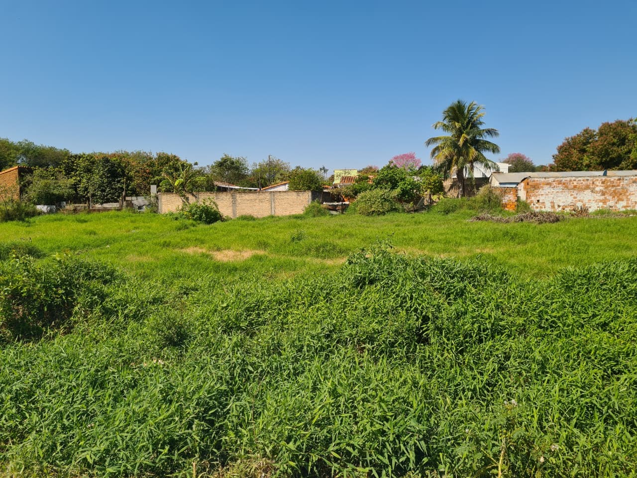 Terreno en segundo barrio de Luque, foto 3