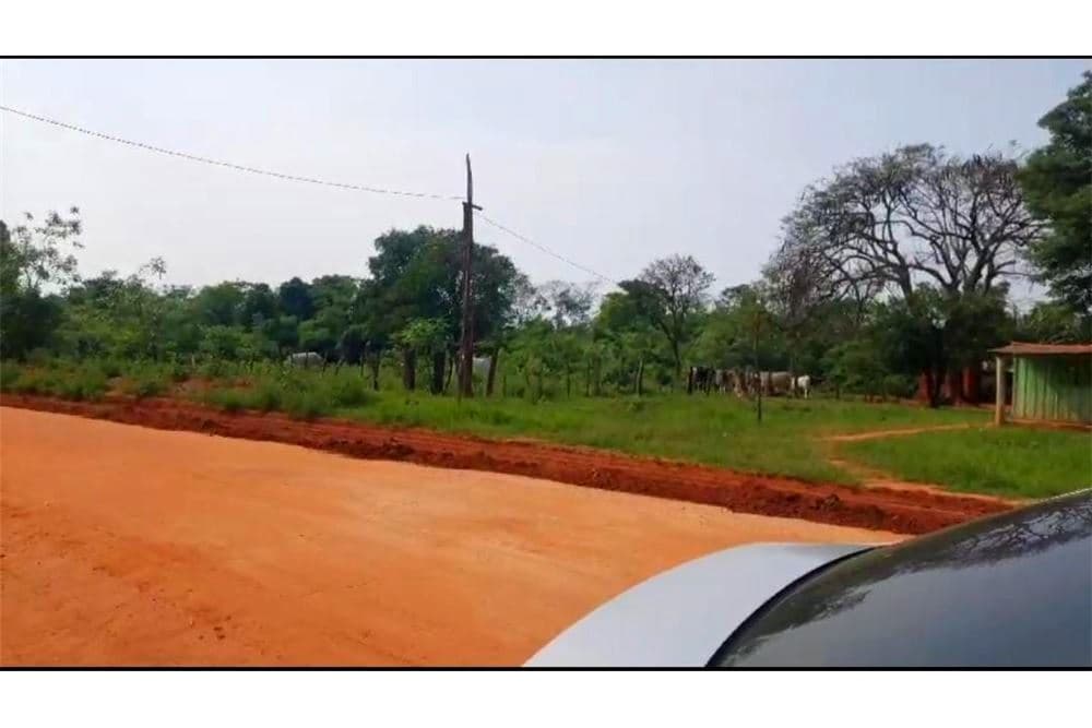 9 ha. En san estanislao, foto 1