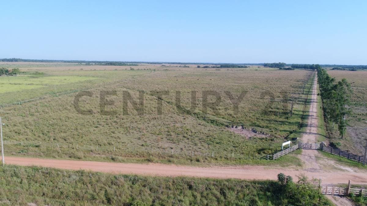 Estancia Ganadera Zona 25 De Diciembre - San Pedro, foto 4