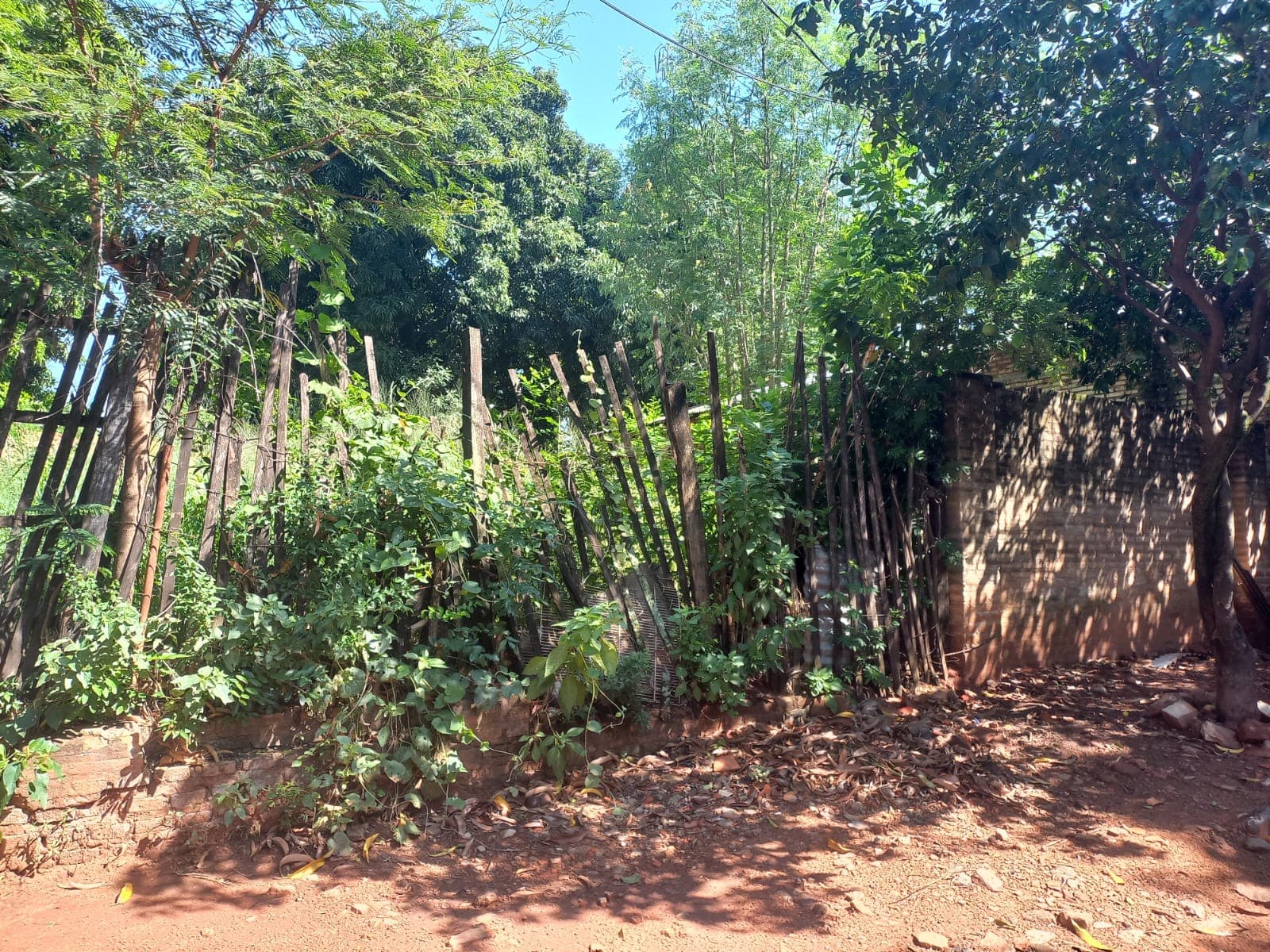 Terreno En Venta – Barrio Ypatí/rosedal, Villa Elisa — foto 4