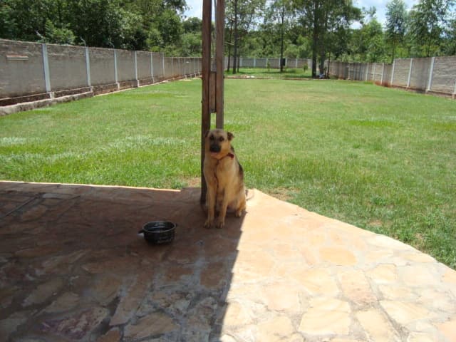 Casa Quinta — foto 2