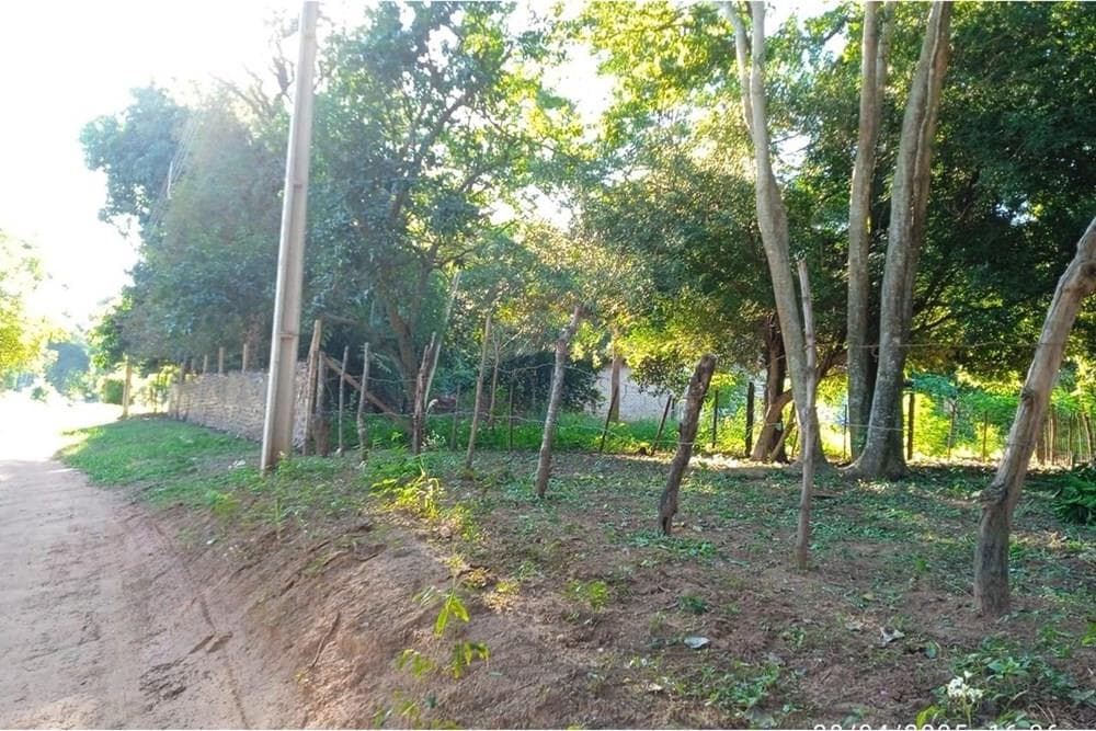 Terreno en la Ciudad de Luque, foto 2