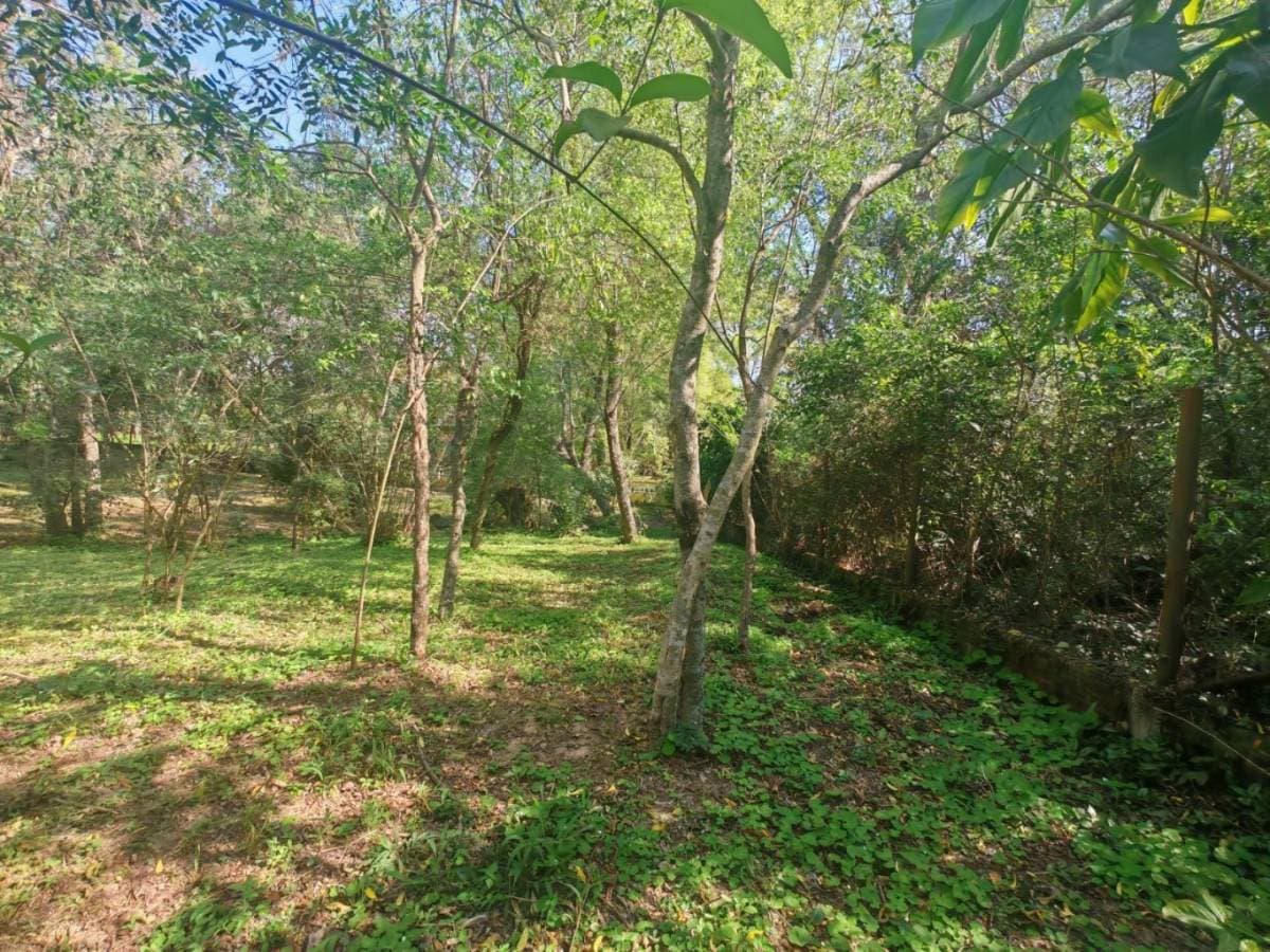 Terreno en aregua oferta, foto 4