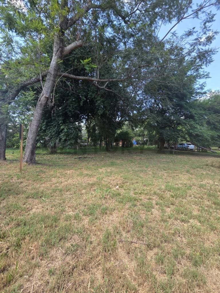 terreno zona Rakiura — foto 4