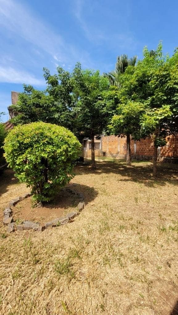 En venta amplia propiedad ideal para desarrollo a pasos de santisima Trinidad, foto 2