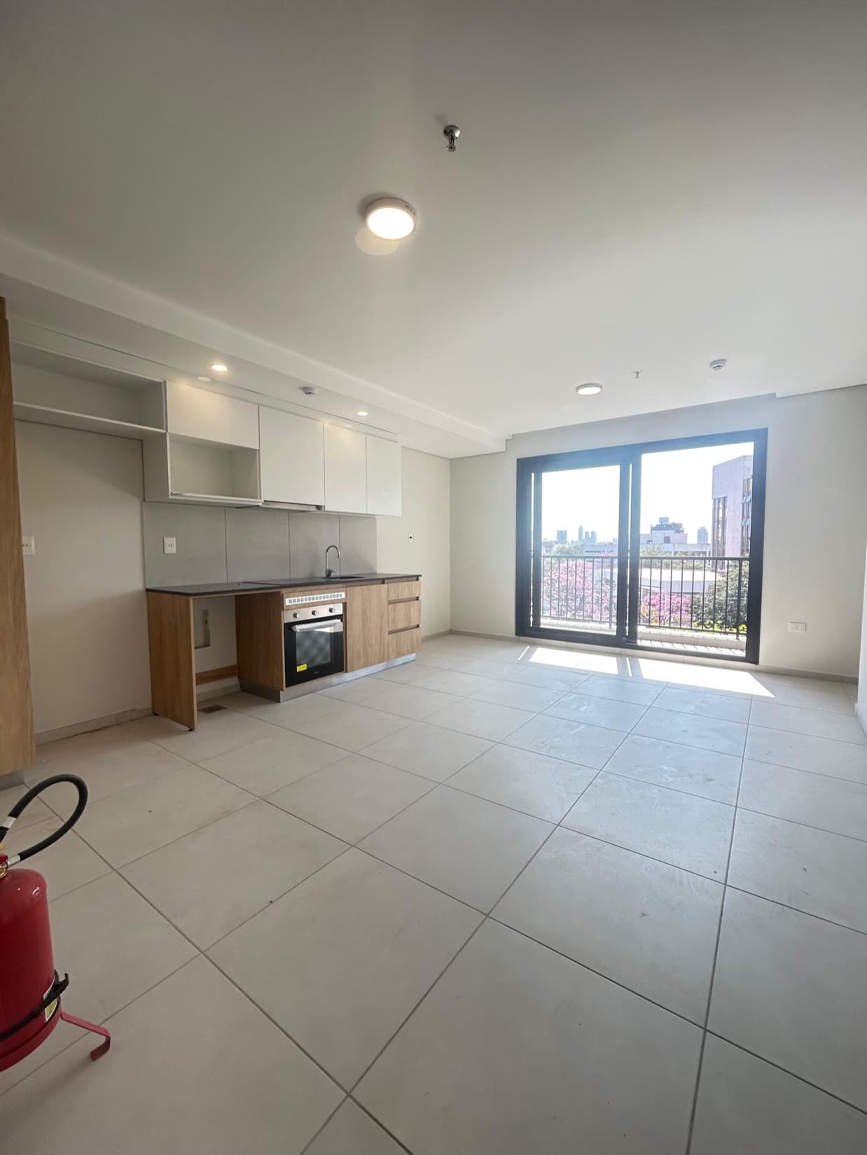 DEPARTAMENTO en Villa Aurelia, foto 1