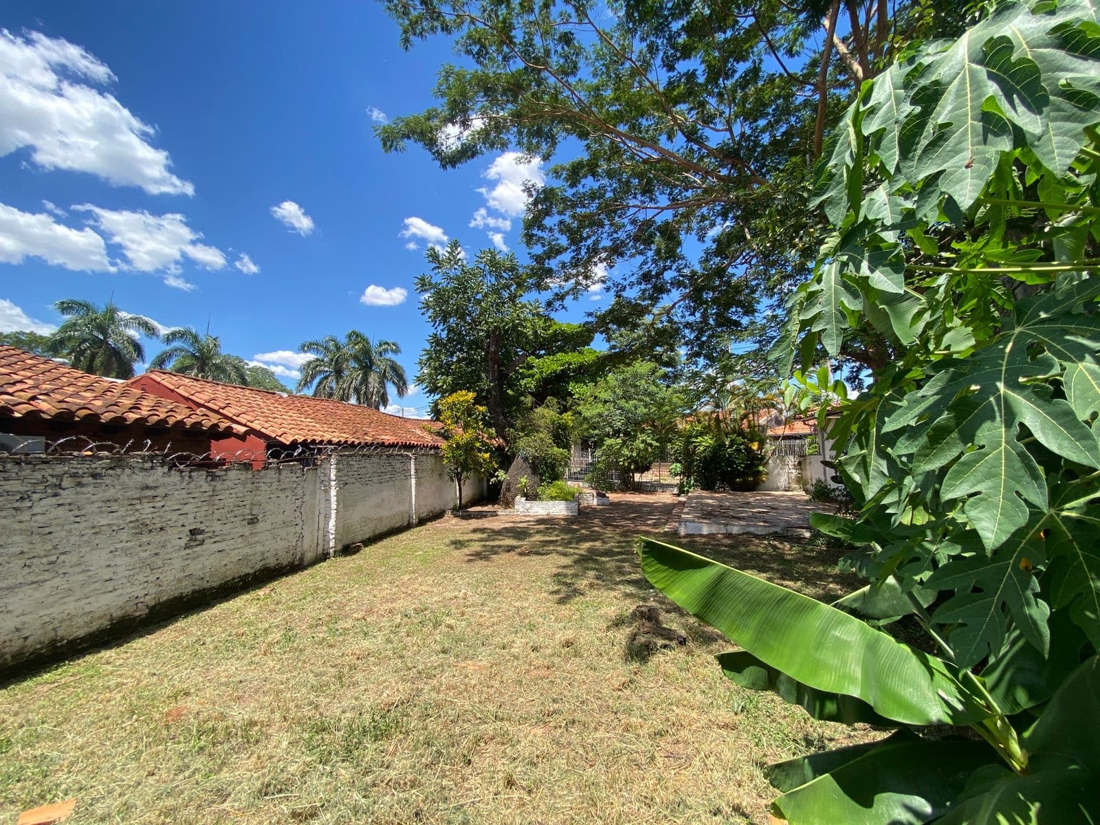 hermoso y amplio terreno en Lambare, foto 3