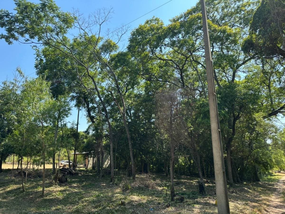 Vendo terrenos en ciervo cua San Bernardino