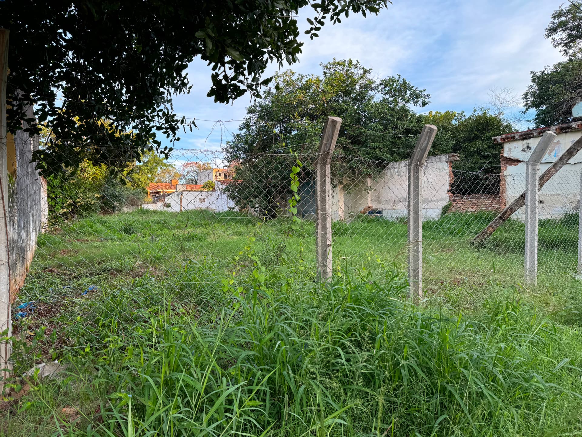 Terreno fernando norte a metros de laguna grande, foto 4