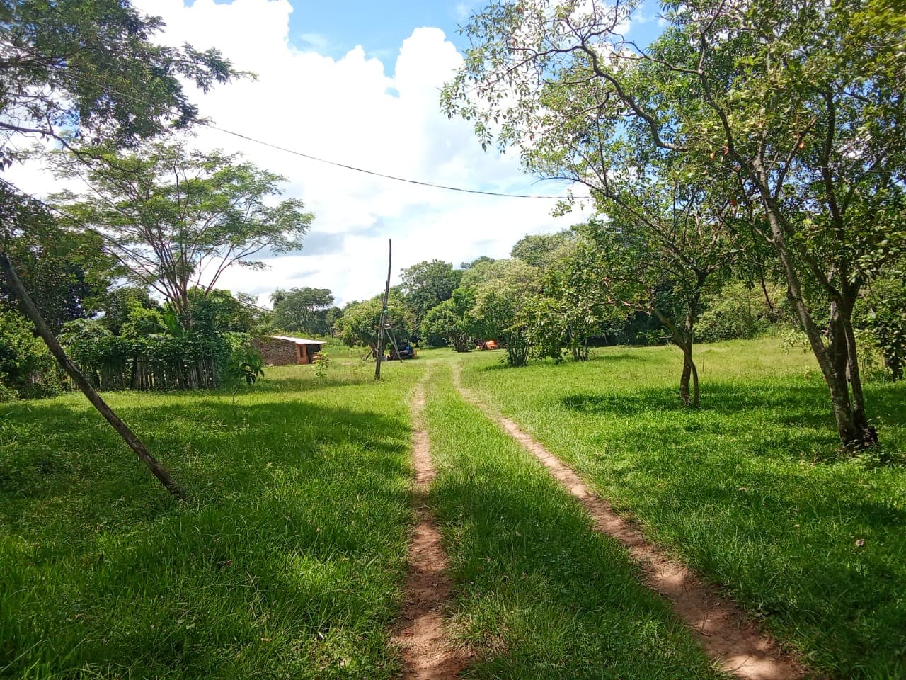 ???? Vendo hermosa propiedad de 16 hectáreas en barrero grande -eusebio ayala, foto 4
