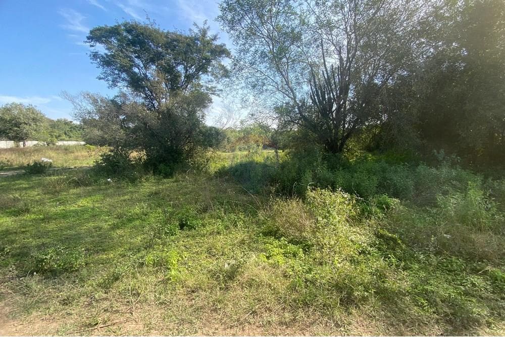 Terreno en Luque: 360m² para tu proyecto ideal — foto 4