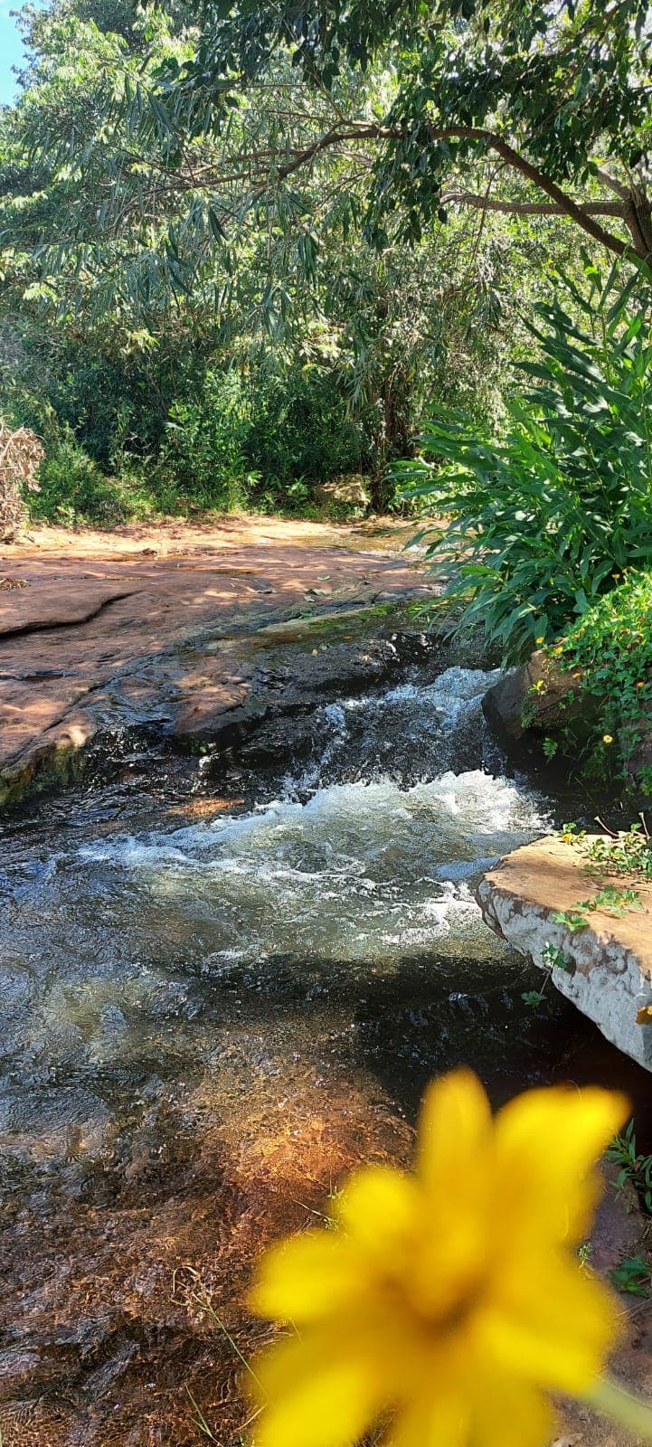 En Venta Terreno En Paraguari A Pasos Del Arroyo, foto 3