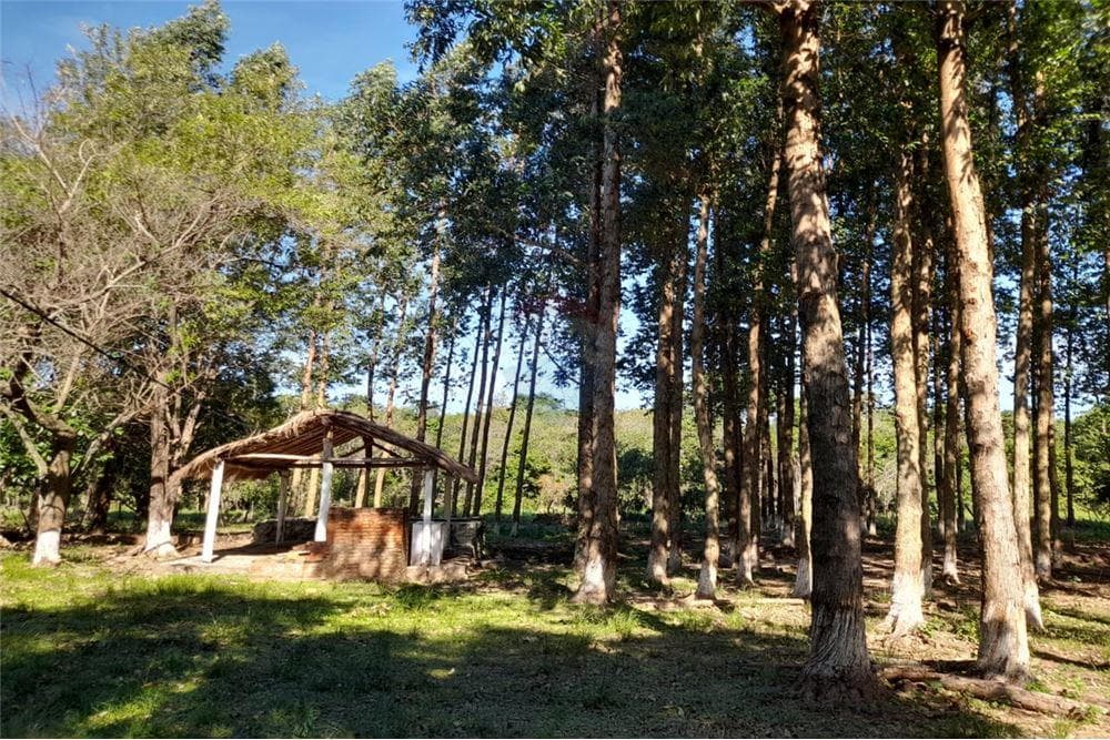 En Venta Amplia Propiedad De 8 Has Con Arroyo. Yataity Del Norte. CAIO — foto 4