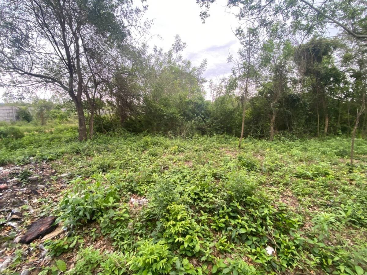 Terreno en ykua karanday Luque, foto 4