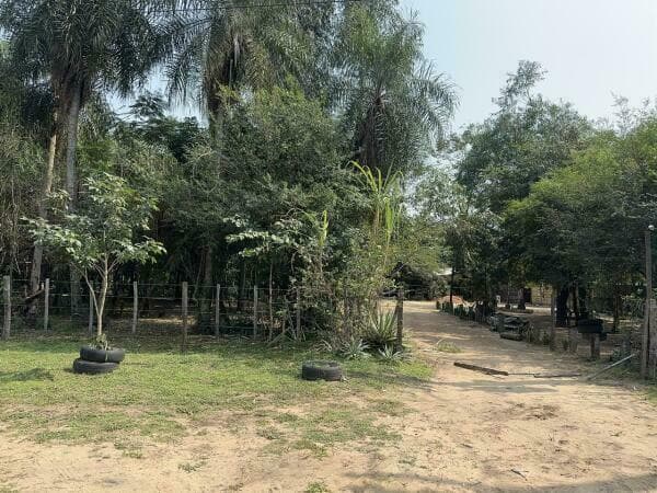 En venta terreno en esquina de 67,236 m2 en barrio colon San Bernardino, foto 3