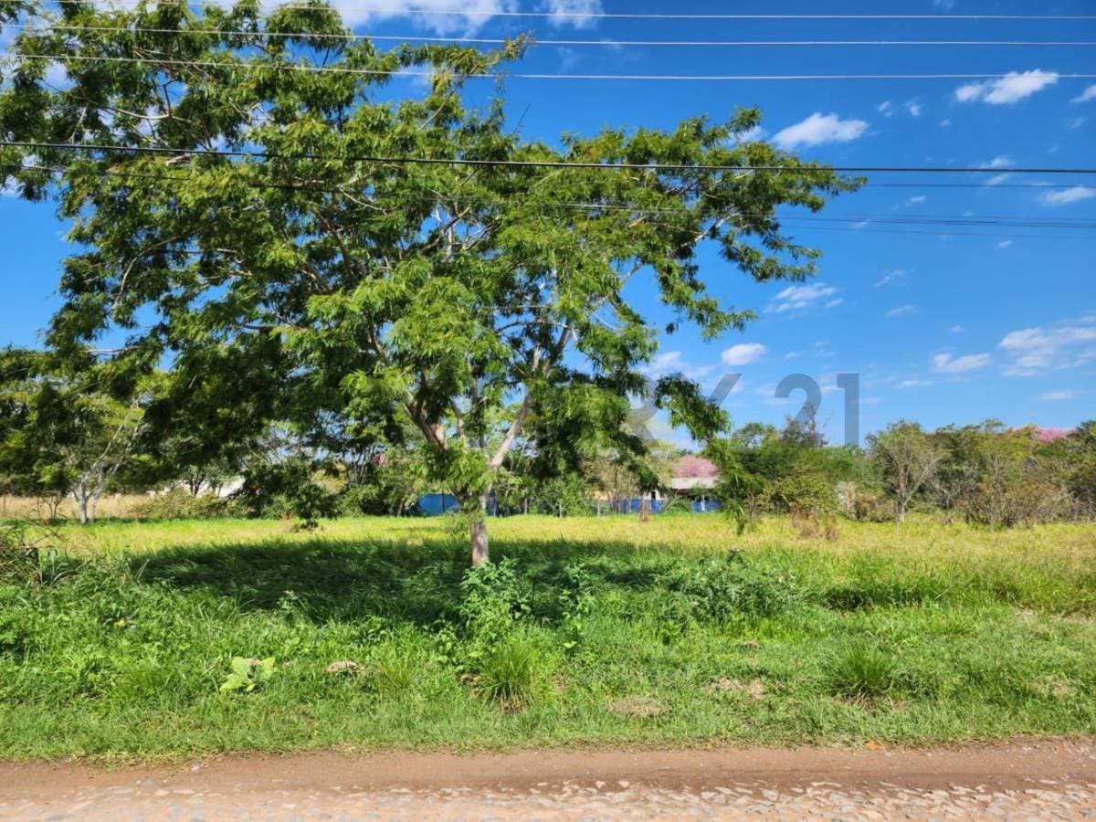 De Terreno En Mariano Roque Alonso, Central, foto 2