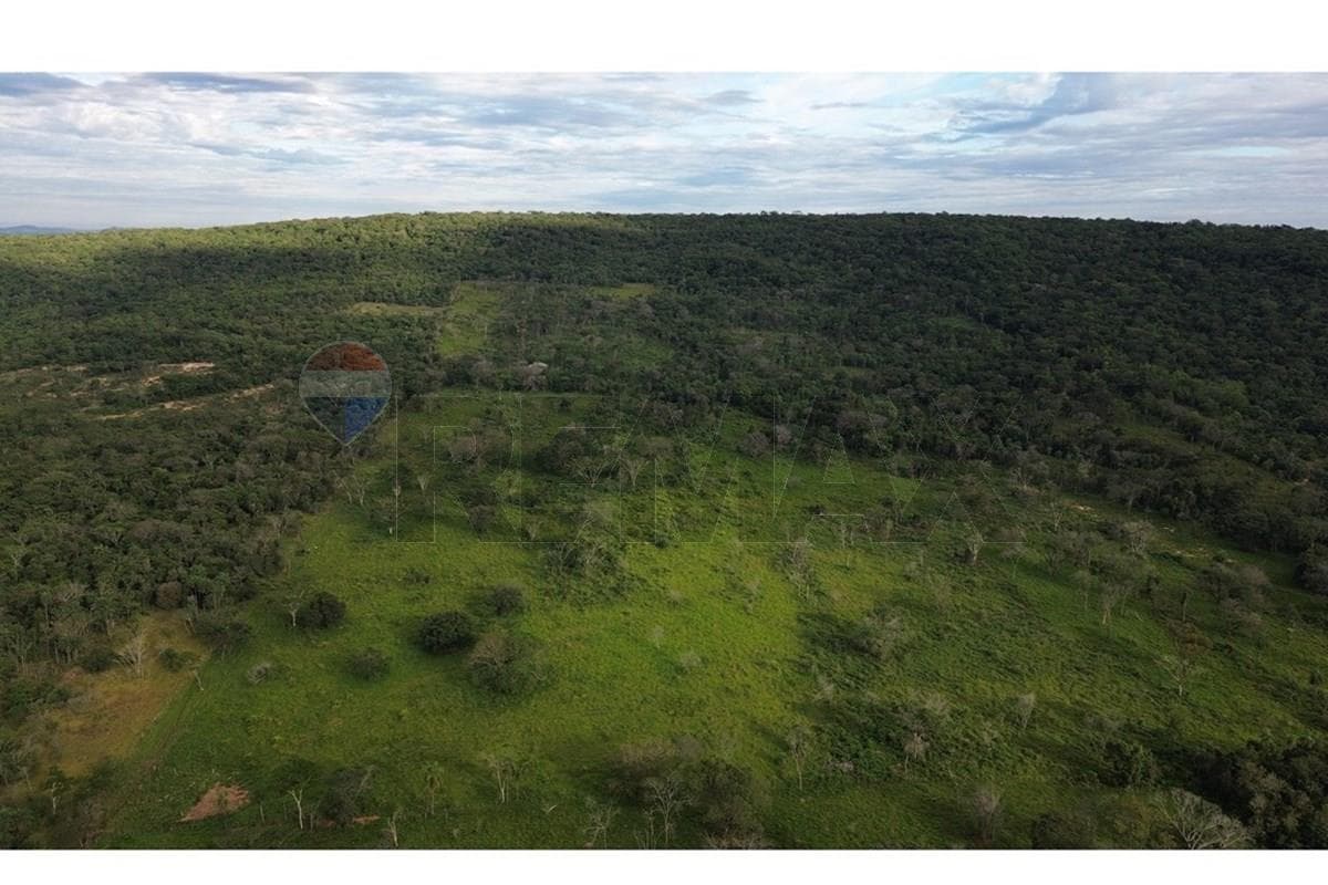 Estancia Ramonita de 368 hás. en Ybycuí, foto 4