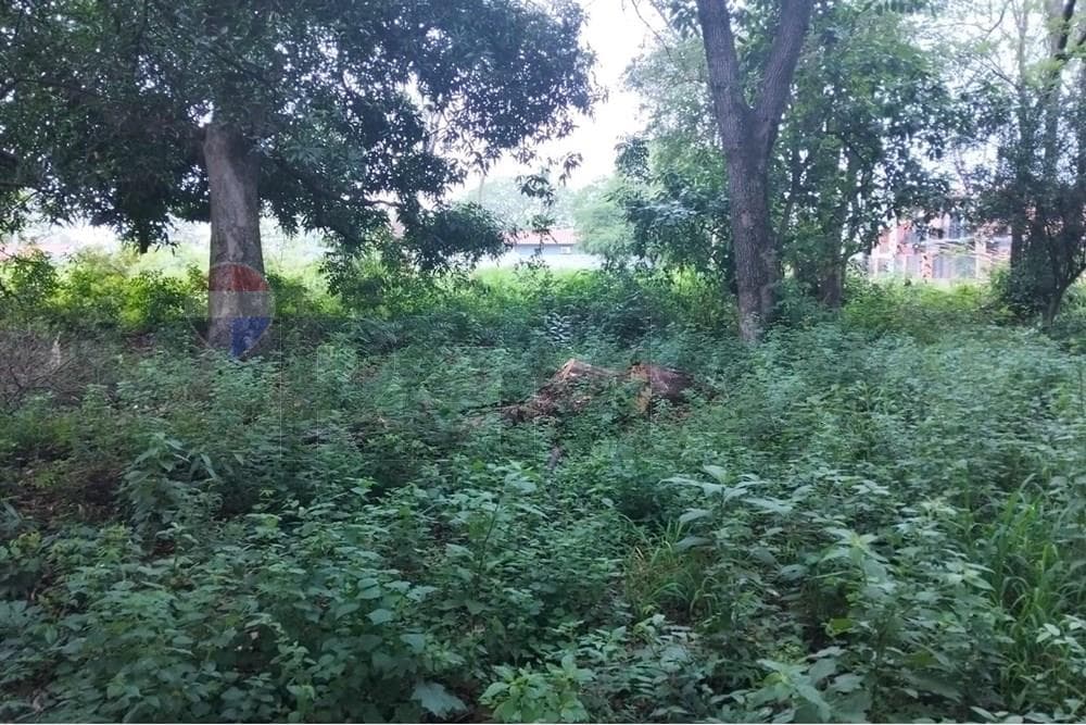 Terreno en venta sobre Avenida Cañadita Ñemby, foto 2