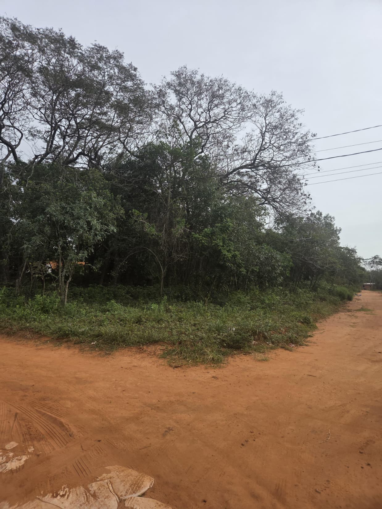 Dos terrenos en Luque, foto 2