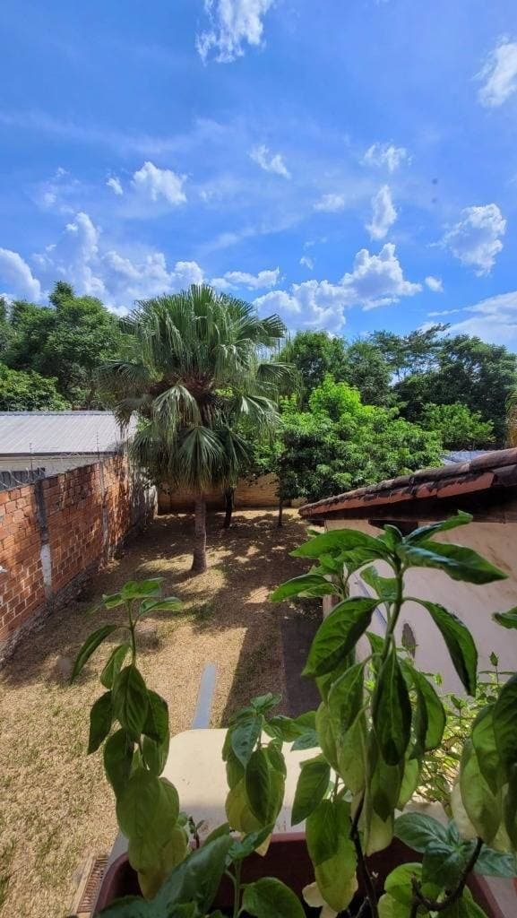 En venta amplia propiedad ideal para desarrollo a pasos de santisima Trinidad, foto 4