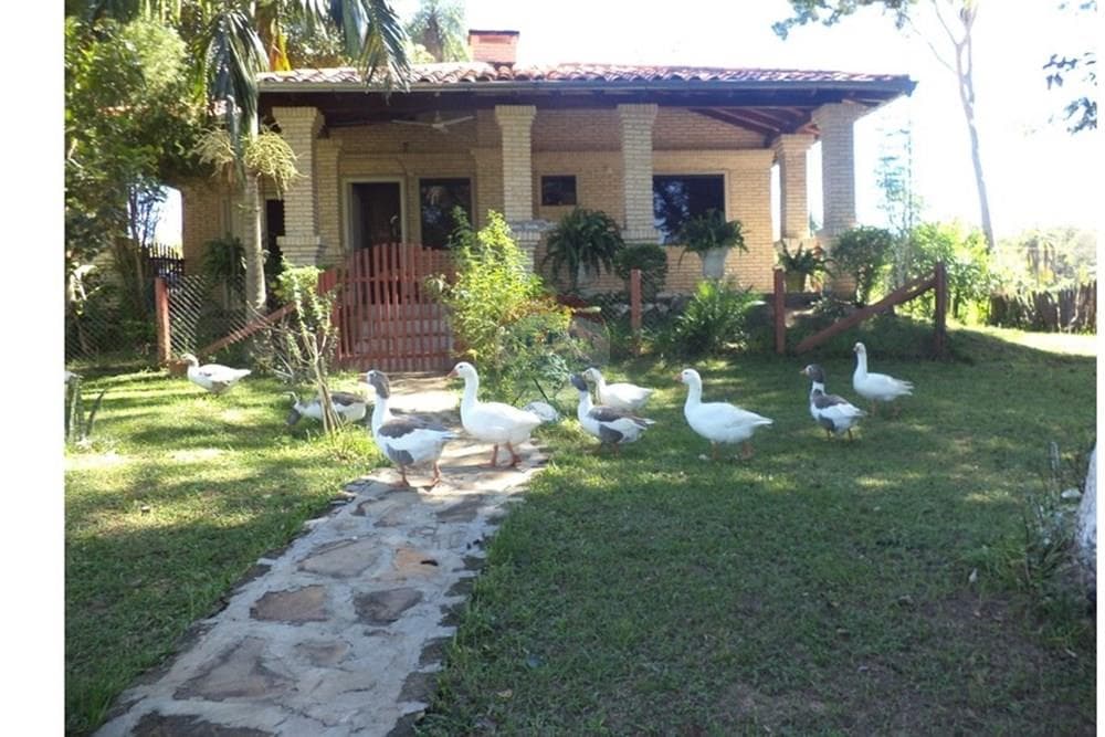 Estancia formada en isla pucu cordillera, foto 3