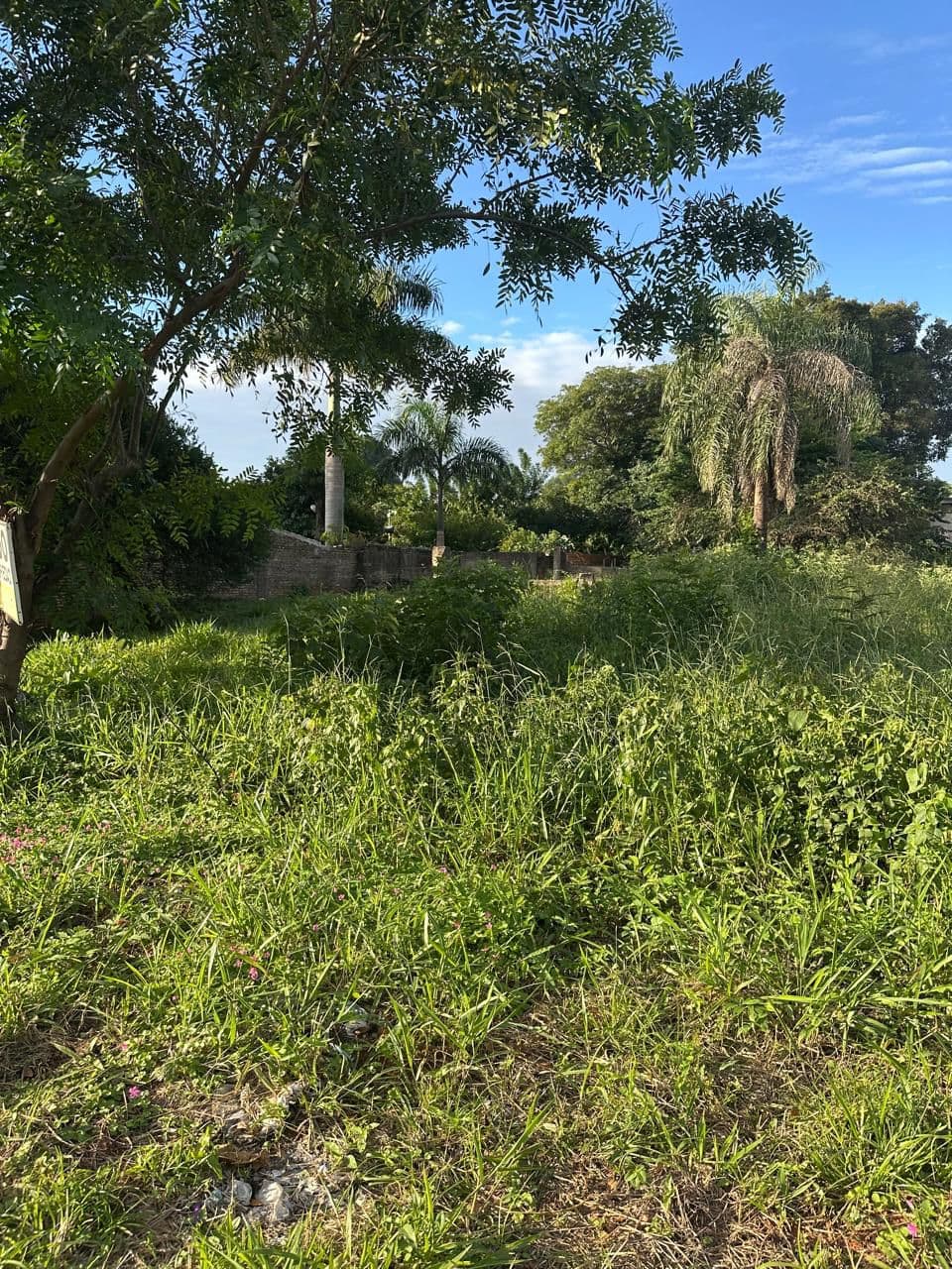 Vendo hermoso terreno en Ñemby salinas