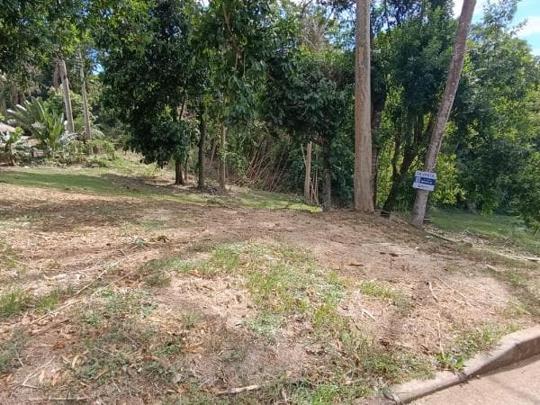 Terreno en paraná country club — foto 2