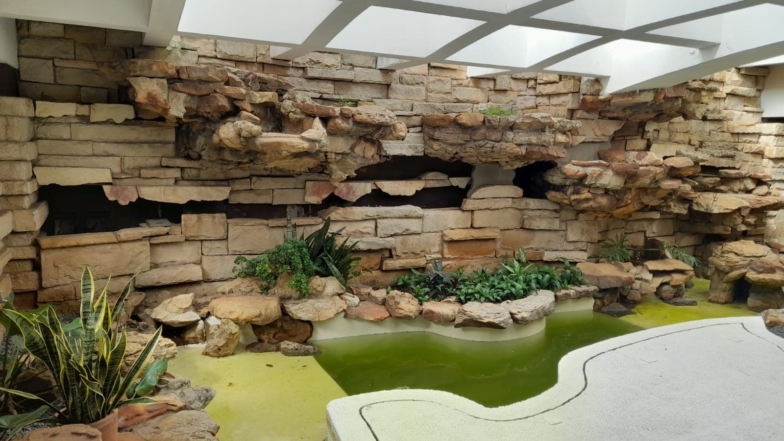 Imponente Casa Sobre Boggiani — foto 3