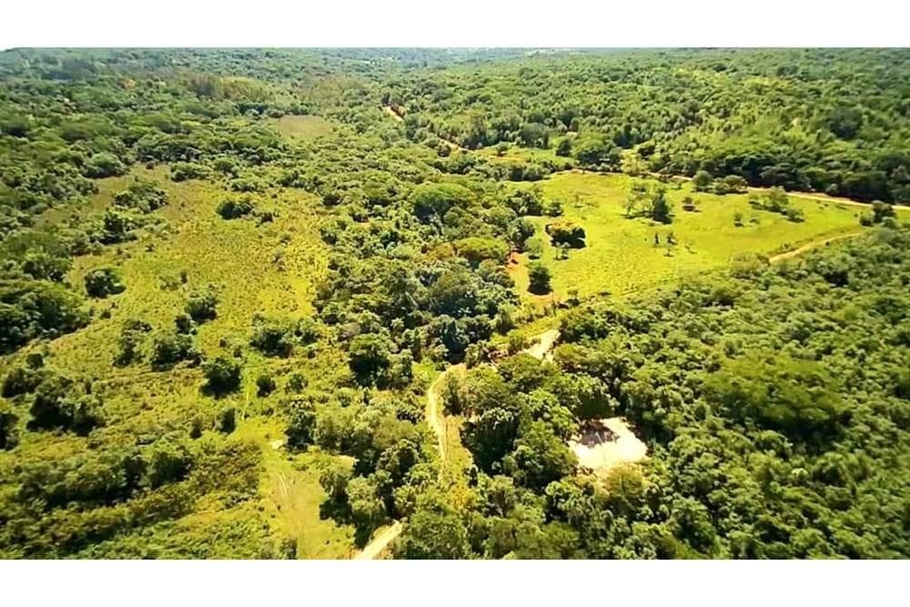 Terreno en altos zona granja don papalo 5.8 hectareas, foto 1