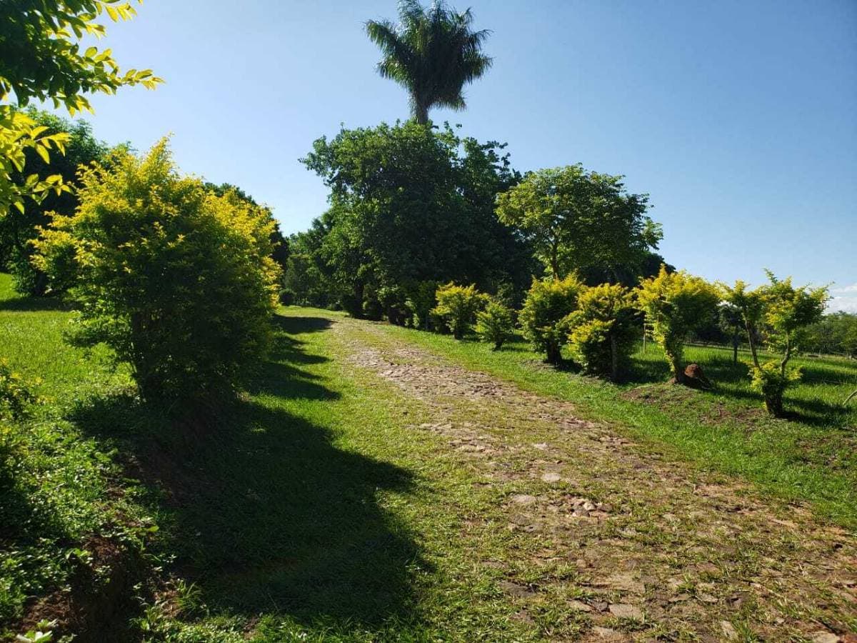 Hermosa granja en arroyos y esteros, foto 4