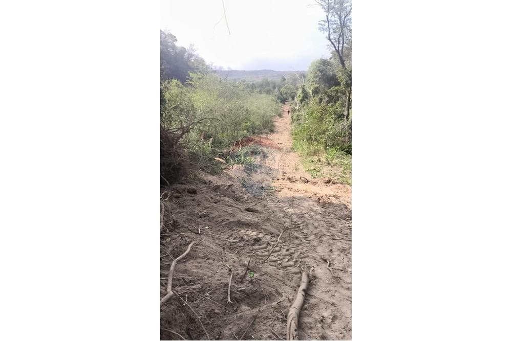 Terreno de 6 Hectáreas en Eusebio Ayala - Ideal para Desarrollo a Gran Escala, foto 3