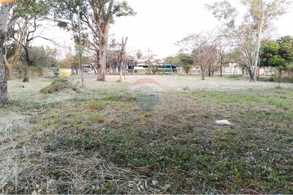 Gran Terreno en Fdo de la Mora Zona Norte, foto 2